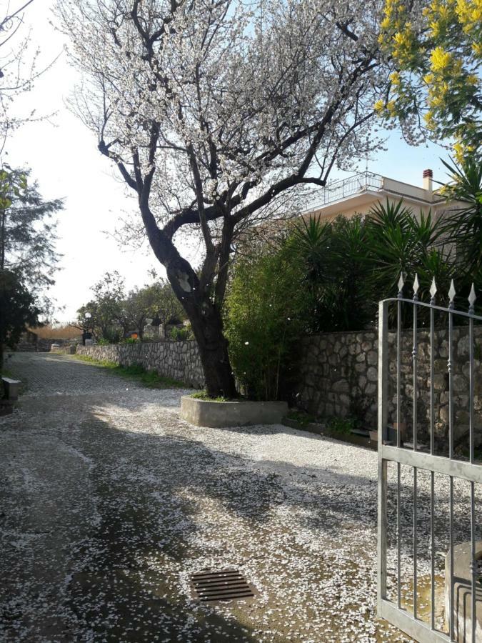 Appartement Il Giardino Dei Lauri à Gaète Extérieur photo